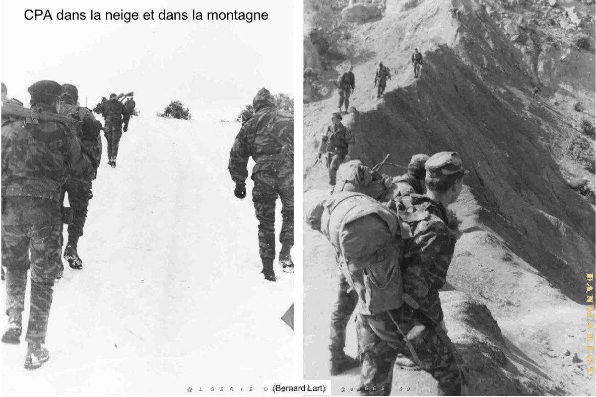 154 - ARMEE DE L'AIR EN ALGERIE 1945-1962-2 (53).jpg